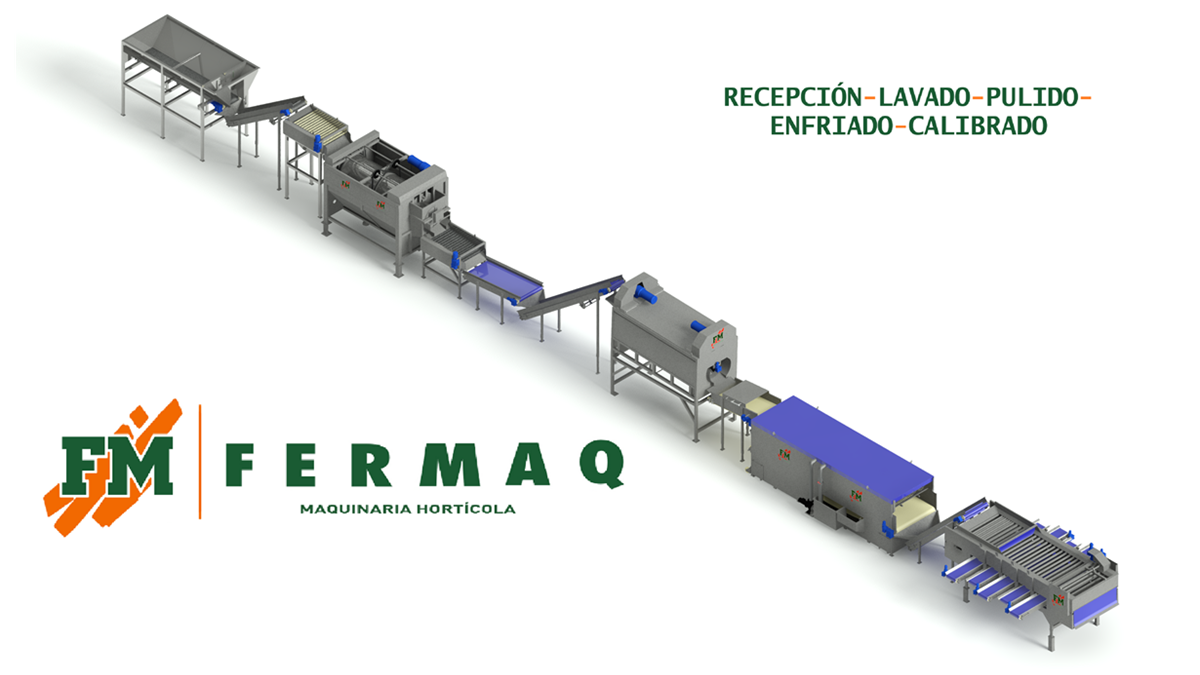 Linea 2.png